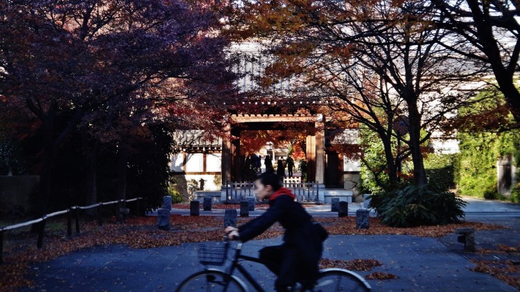 Koenji temple girl bicycle