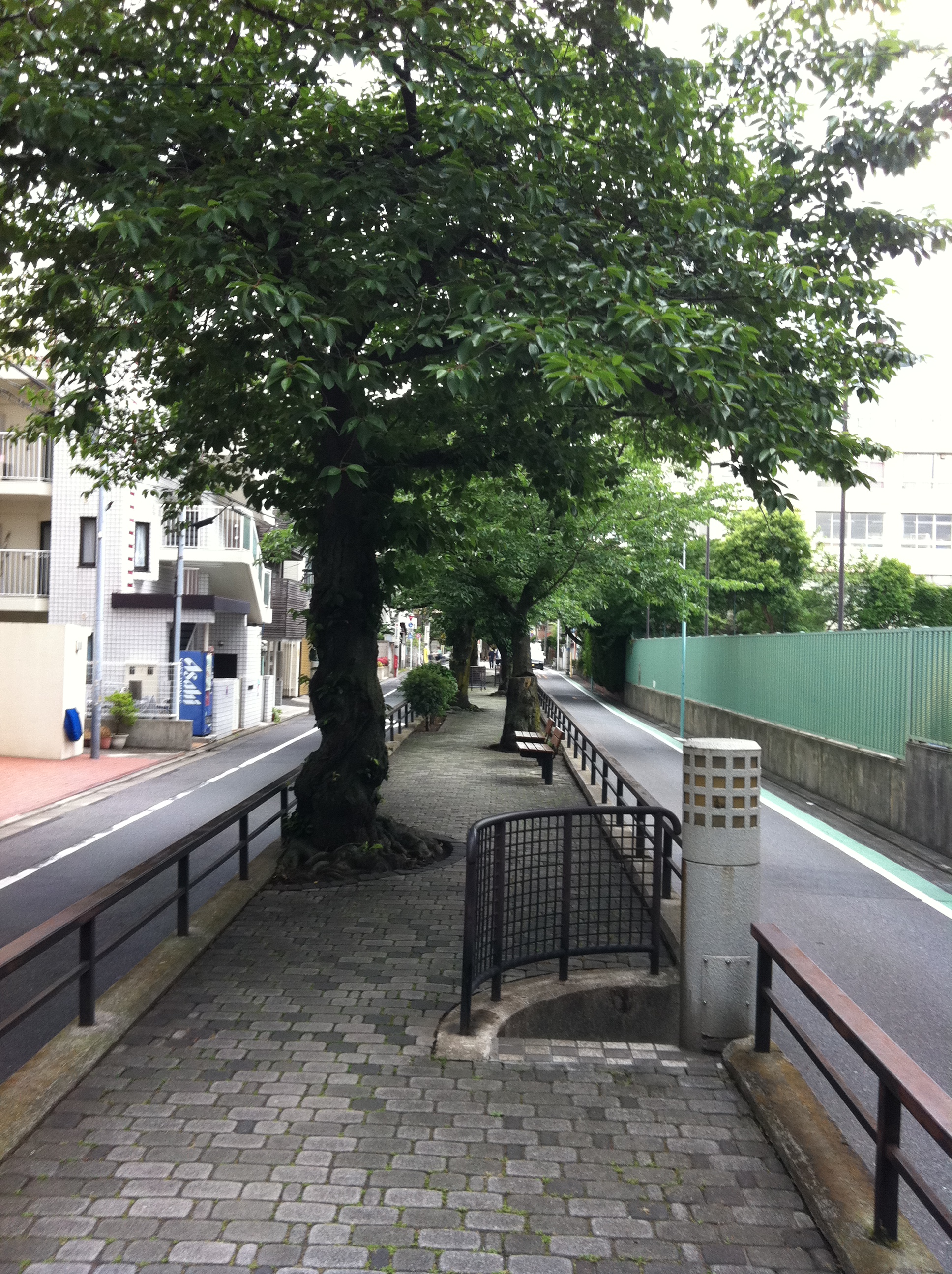 Walking on water: the underground rivers of Tokyo 東京の地下河川や運河の地図 – the ...