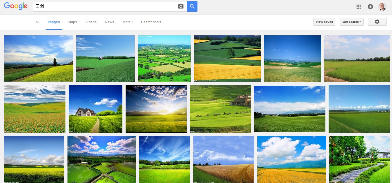 Den-en rural garden countryside Japan photo.jpg